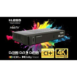 FERGUSON ARIVA 9000 4K CI+ COMBO HbbTV (DVB-S2+DVB-T2/C H.265 HEVC) WIFI HDR