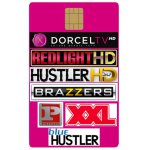 ZESTAW EROTYCZNY - MODUŁ VIACCESS + KARTA ELITE HD 6+ 7 KANAŁÓW - 1/2 ROKU