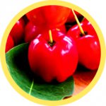 SUNVITAL NATURAL KIDS FORMULA - 3 SZTUKI